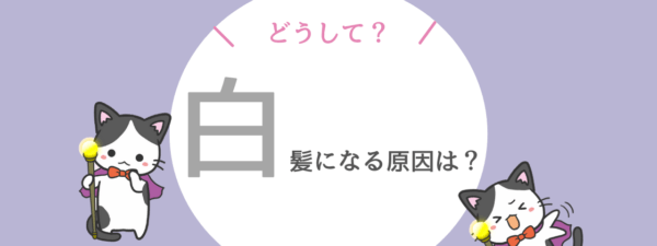 抜いてはダメ 白髪ができる原因とは 美容師が教える改善するために必要な対策４選紹介 ハマスケア